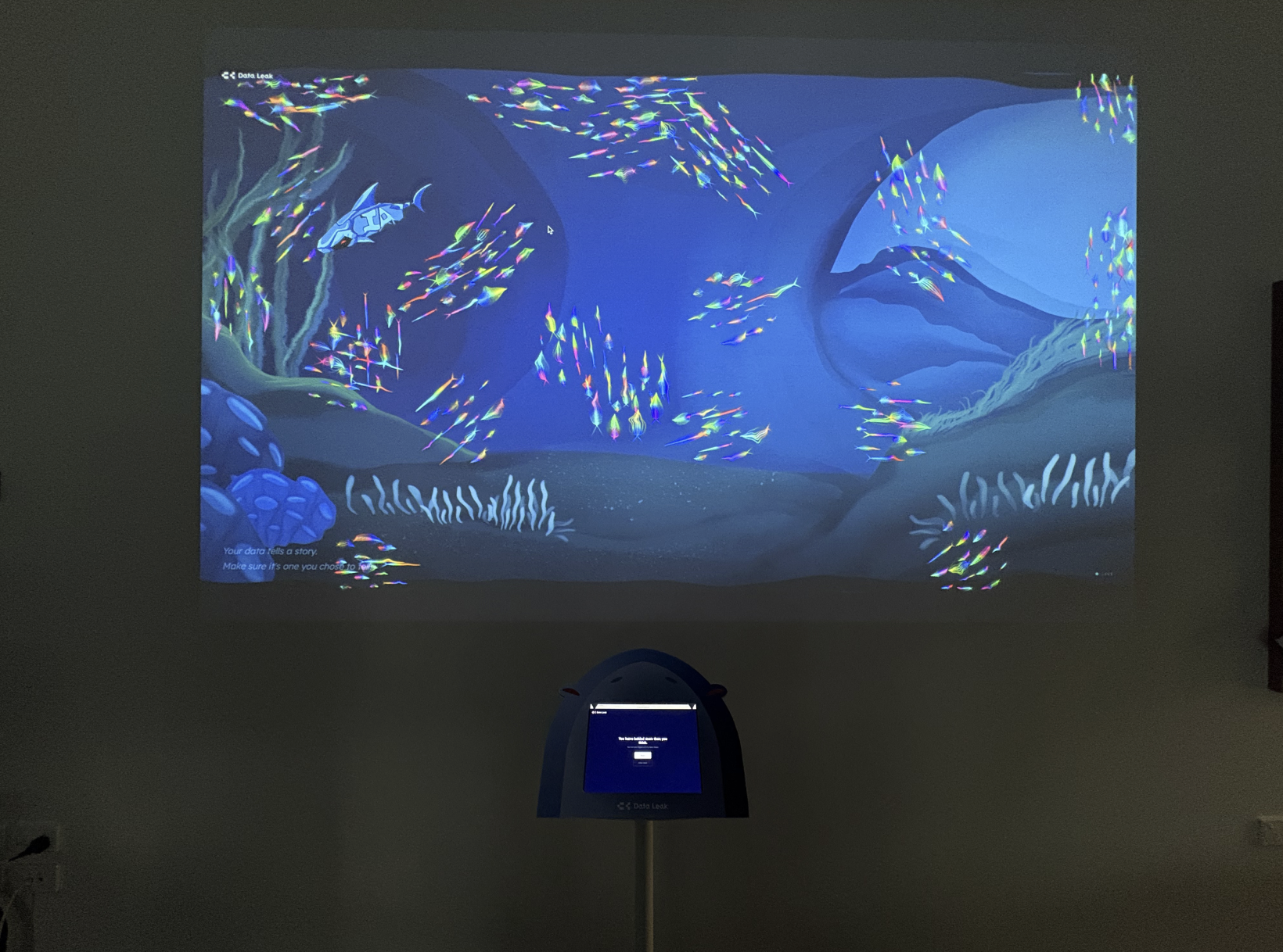 Projection Installation